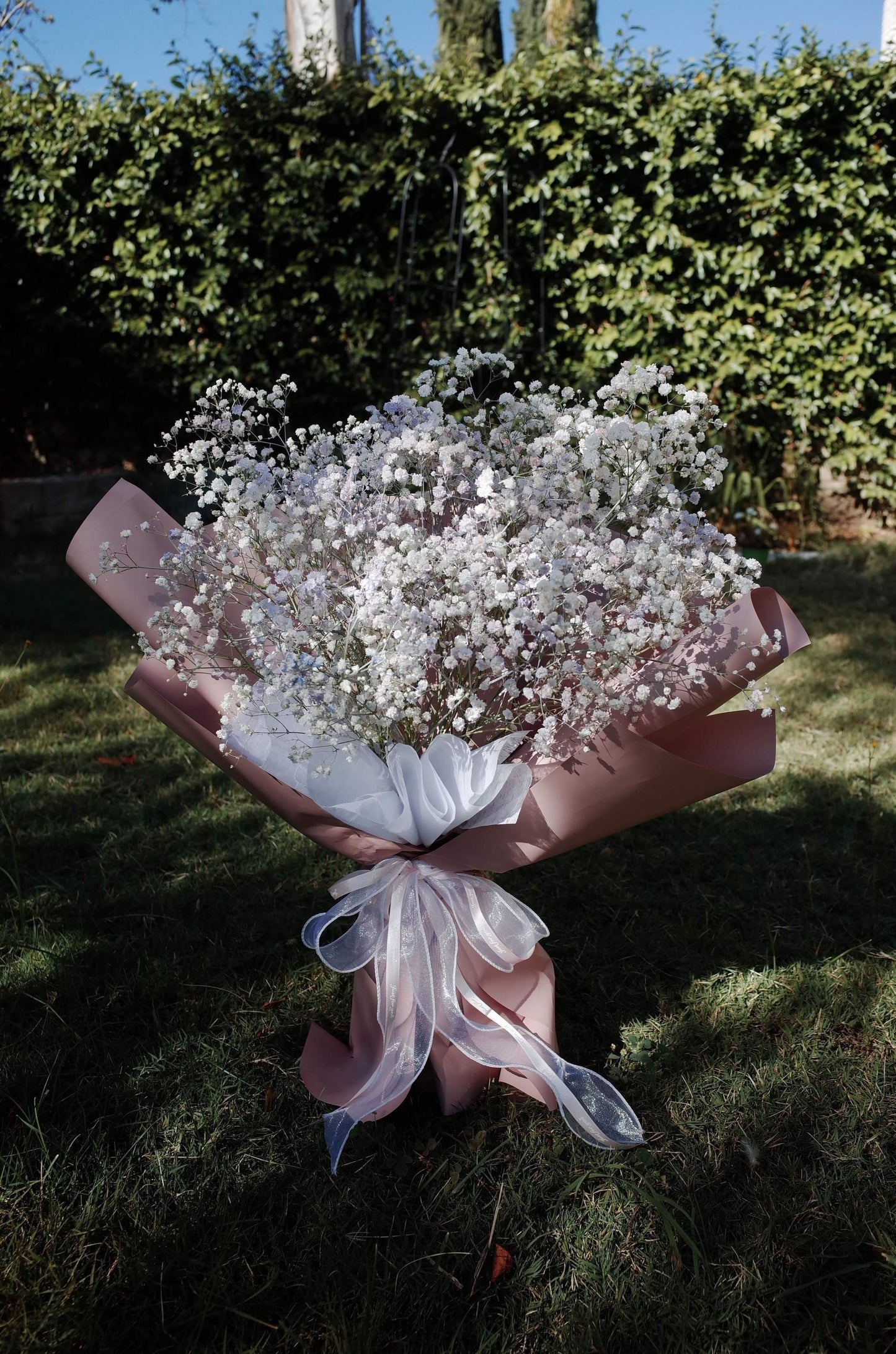 Fresh Light Baby Breath Bouquet