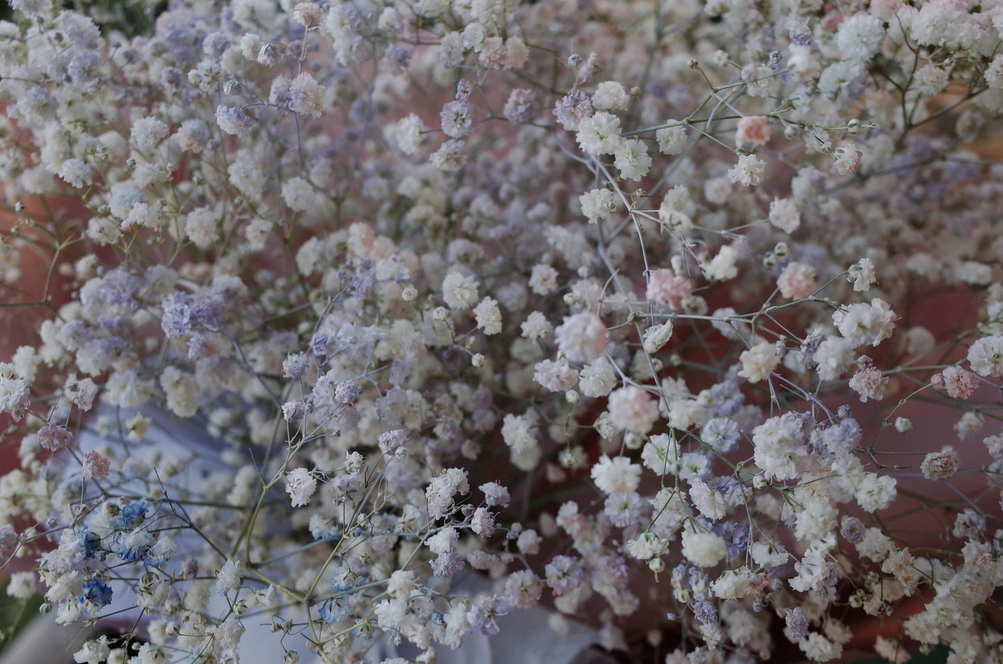 Fresh Light Baby Breath Bouquet