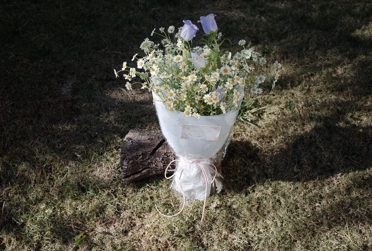 A cup of sunshine - Daisy Bouquet