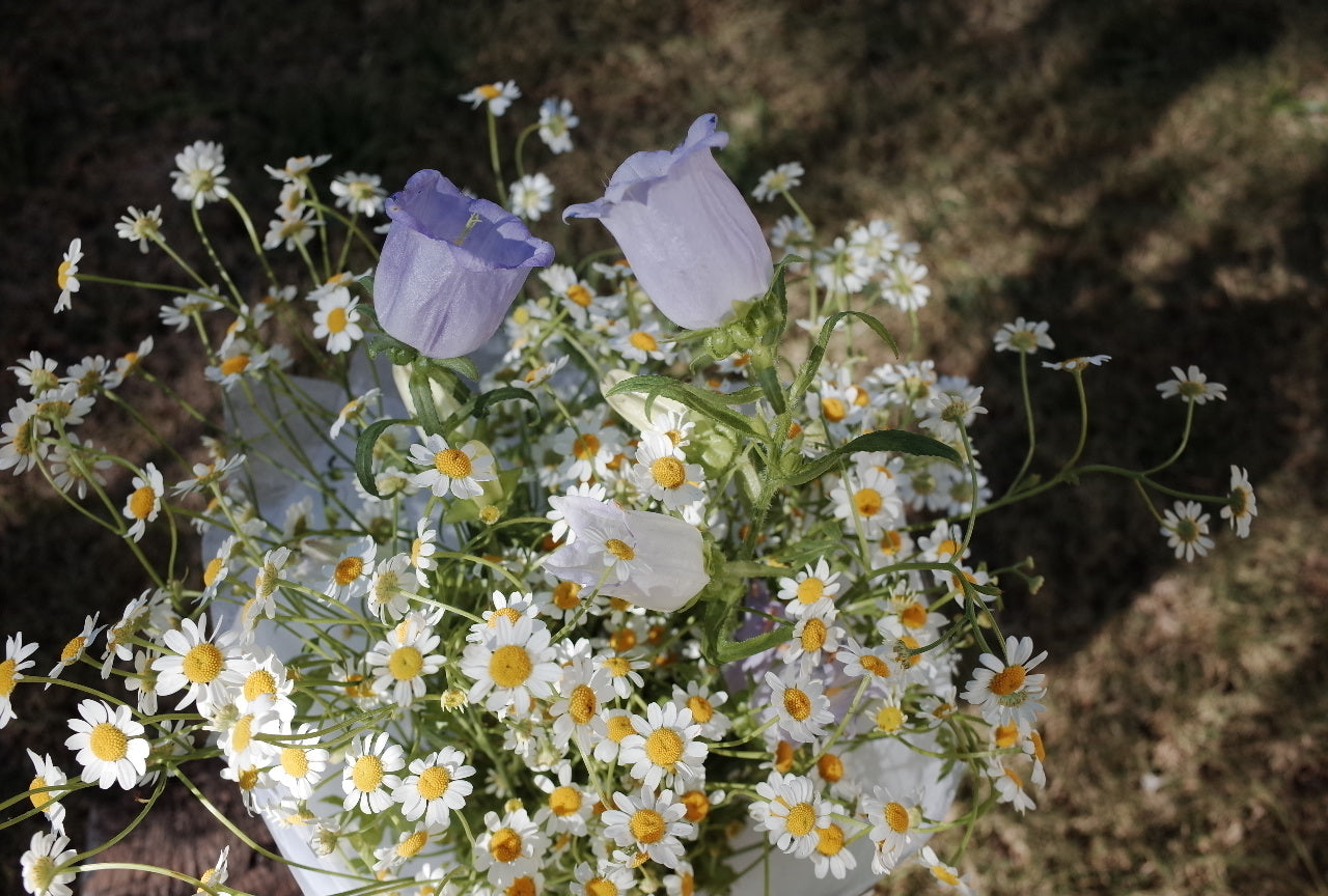 A cup of sunshine - Daisy Bouquet