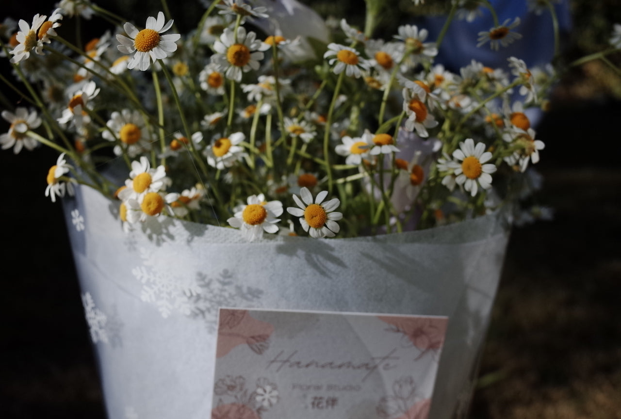 A cup of sunshine - Daisy Bouquet