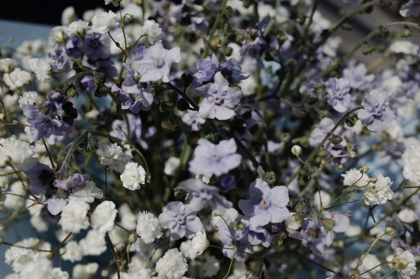 Forget me Not Bouquet