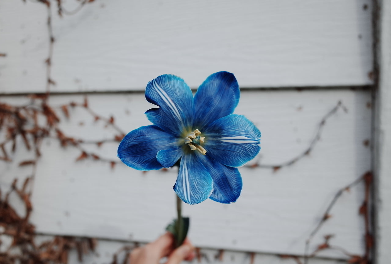 Fantasy Blue Tulip Bouquet (Can Change to Different Blue)