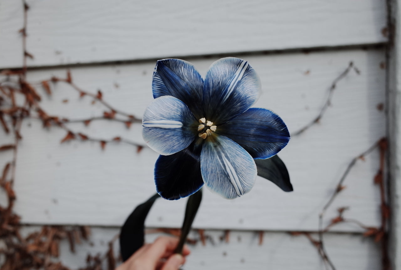 Fantasy Blue Tulip Bouquet (Can Change to Different Blue)