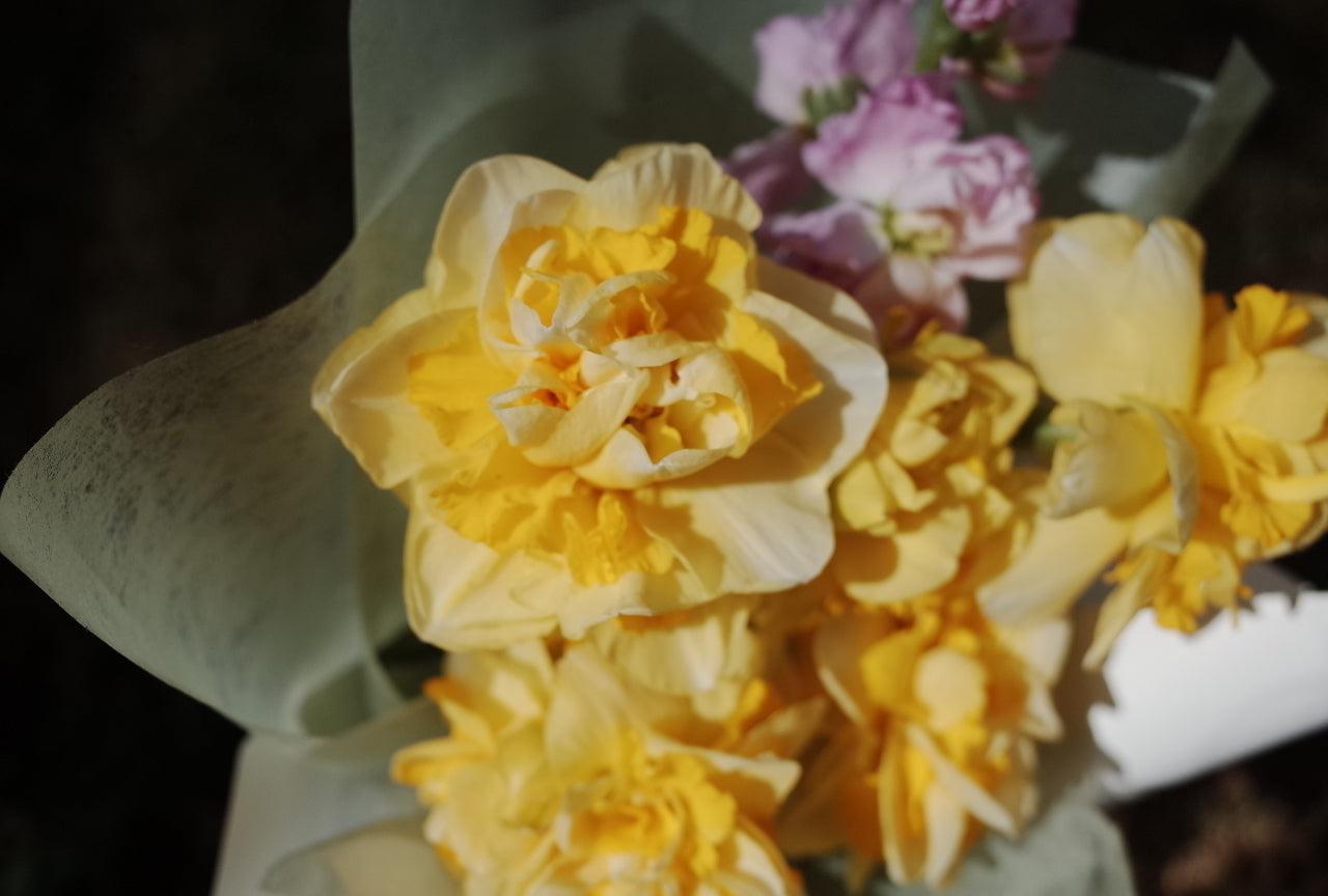 Cute Daffodil Bouquet (Seasonal)